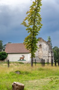 FTBL_31 - Dans la forêt du côté des gorges de Franchard - Fontainebleau (77) /// 50 pts