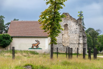 FTBL_31 - Dans la forêt du côté des gorges de Franchard - Fontainebleau (77) /// 50 pts