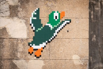 FTBL_37 - Do not fuck with ducks ! - Pont du Loing - Morey-sur-Loing (77) /// 30 pts