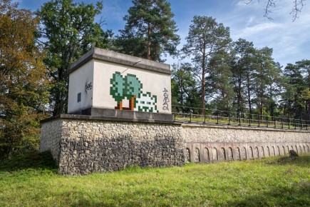 FTBL_39 - D58 - Dans la forêt - Fontainebleau (77) /// 50 pts