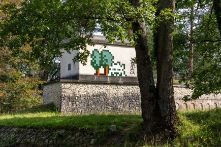 FTBL_39 - D58 - Dans la forêt - Fontainebleau (77) /// 50 pts