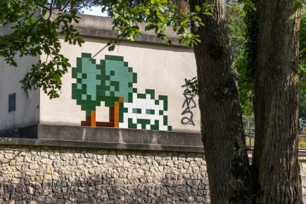 FTBL_39 - D58 - Dans la forêt - Fontainebleau (77) /// 50 pts