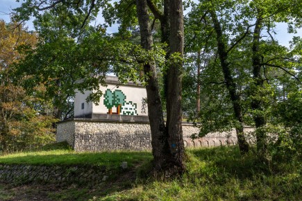 FTBL_39 - D58 - Dans la forêt - Fontainebleau (77) /// 50 pts
