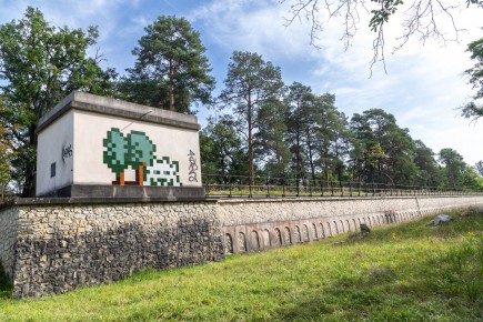 FTBL_39 - D58 - Dans la forêt - Fontainebleau (77) /// 50 pts