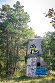 FTBL_40 - Carrefour de Marlotte- D58 - Dans la forêt - Fontainebleau (77) /// 50 pts