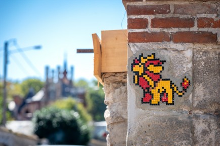 FTBL_45 - Flash'em all - Pokemon Pyroar - Thomery (77) /// 30 pts
