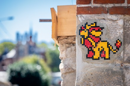 FTBL_45 - Flash'em all - Pokemon Pyroar - Thomery (77) /// 30 pts
