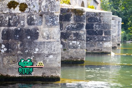 FTBL_46 - Croaa ! - Vieux Pont - Grez-sur-Loing (77) /// 30 pts