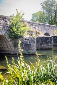 FTBL_46 - Croaa ! - Vieux Pont - Grez-sur-Loing (77) /// 30 pts