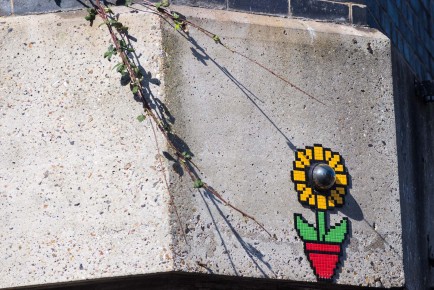LDN-145 - Flowercam - Holloway - Londres /// 40 pts