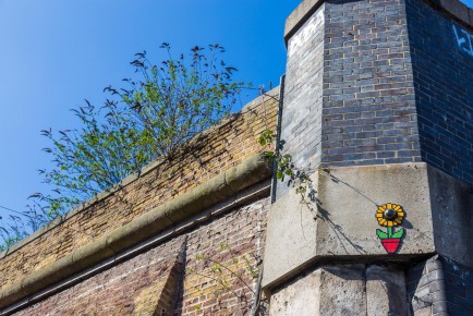 LDN-145 - Flowercam - Holloway - Londres /// 40 pts