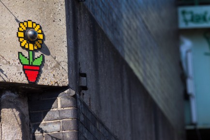 LDN-145 - Flowercam - Holloway - Londres /// 40 pts