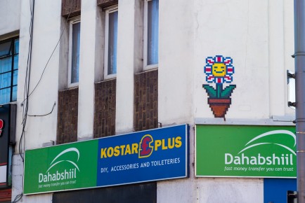 LDN-148 - English Flower - Leyton - Londres /// 30 pts