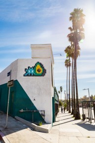 LA_202 - Space Avocado - Silver Lake / Echo Park - Los Angeles /// 100 pts