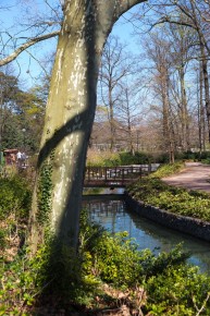 LY-029 - Parc de la Tête d'Or - Lyon