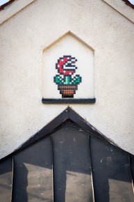 MUN_09 - Piranha Plant - Munich /// 20 pts