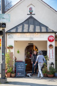 MUN_09 - Piranha Plant - Munich /// 20 pts