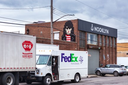 NY-149 - Joey Ramone - Bushwick - Brooklyn - New York /// 100 pts