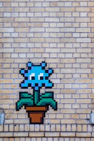 NY-151 - Spaceflower - Soho - Manhattan - New York /// 30 pts