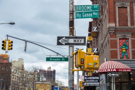 NY-156 - Leonardo (Teenage Mutant Ninja Turtles) - Lower East Side - Manhattan - New York /// 100 pts