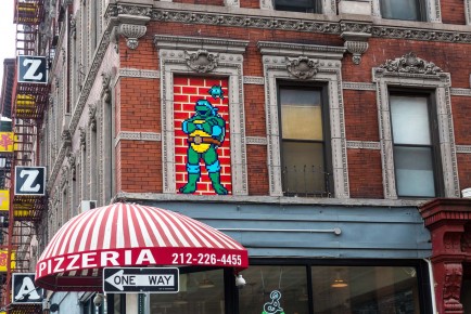 NY-156 - Leonardo (Teenage Mutant Ninja Turtles) - Lower East Side - Manhattan - New York /// 100 pts