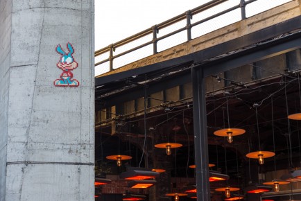 NY-172 - Buster Bunny - Chelsea - Manhattan - New York /// 40 pts