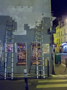 PA-1039 - La panthère rose - Quartier Léon Blum - Folie-Régnault 11è - Session de réactivation par la "Reactivation Team" après son vol la veille ou l'avant veille des attentats du 13 novembre 2015 /// 50 pts
