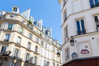 PA-1156 - Chafouin / Cheshire cat - Rue Vieille du Temple 04è