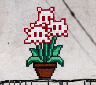 PA-1314 - Space flower - Quartier du Jardin des Plantes 05è /// 40 pts