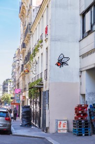 PA-1399 - Return of the fly - Quartier Grandes Carrières - Clichy 18è /// 40 pts