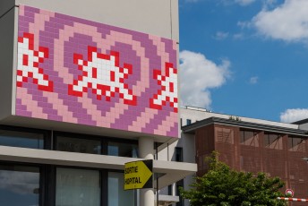 PA-1409 - Give organs, give life ! - Hôpital du Kremlin-Bicêtre (94) /// 100 pts