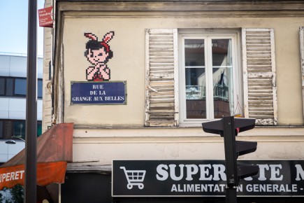 PA-1489 - Doo didoo - Quartier Faubourg du Temple - Hôpital Saint-Louis 10è /// 30 pts
