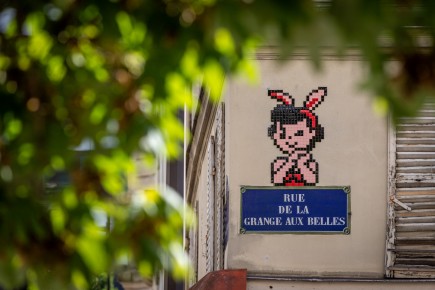PA-1489 - Doo didoo - Quartier Faubourg du Temple - Hôpital Saint-Louis 10è /// 30 pts