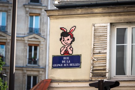 PA-1489 - Doo didoo - Quartier Faubourg du Temple - Hôpital Saint-Louis 10è /// 30 pts