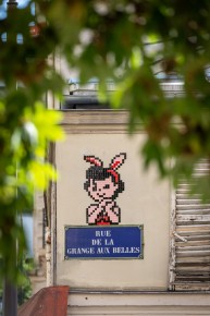 PA-1489 - Doo didoo - Quartier Faubourg du Temple - Hôpital Saint-Louis 10è /// 30 pts