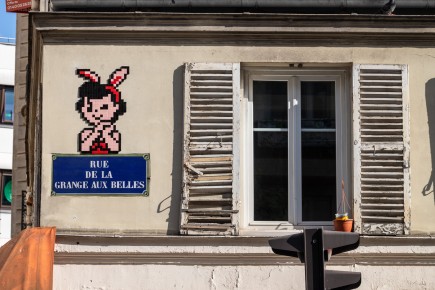PA-1489 - Doo didoo - Quartier Faubourg du Temple - Hôpital Saint-Louis 10è /// 30 pts