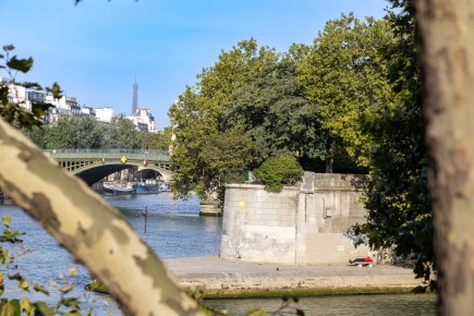 PA-1516 - Yellow ring - Bord de Seine - Quartier des Îles 04è /// 30 pts