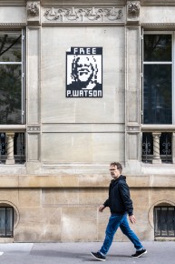 PA-1521 - Free that man ! - Free Paul Watson ! - Quartier du Triangle d'Or 08è /// 40 pts