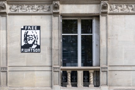 PA-1521 - Free that man ! - Free Paul Watson ! - Quartier du Triangle d'Or 08è /// 40 pts