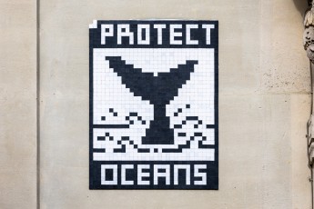 08è - Hoche Friedland