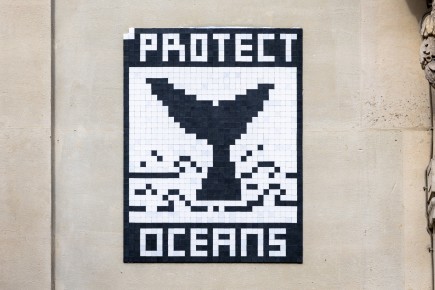 PA-1522 - Stop the killing - Protect oceans - Quartier Hoche - Friedland 08è /// 40 pts