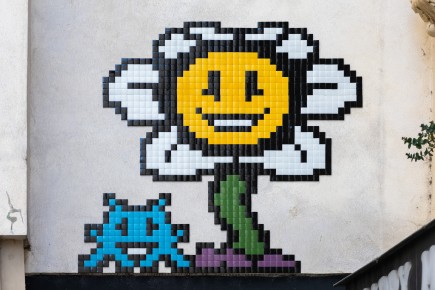 PA-1561 - Undertale flower - Quartier de la Monnaie 06è /// 40 pts