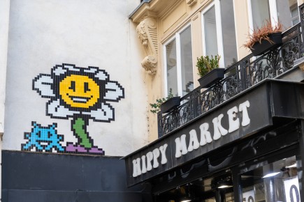 PA-1561 - Undertale flower - Quartier de la Monnaie 06è /// 40 pts