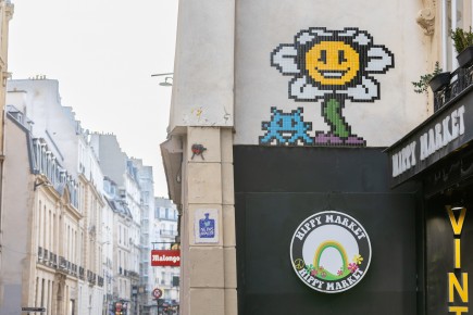 PA-1561 - Undertale flower - Quartier de la Monnaie 06è /// 40 pts