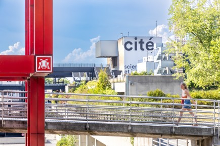 PA-1571 - Invasion Folie R4 - Quartier Pont de Flandre 19è /// 20 pts