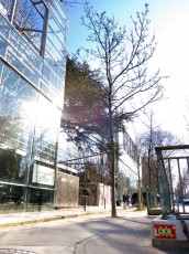 PA-200 à PA-299 /// 10 pts