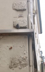 PA-200 à PA-299 /// 10 pts