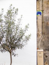 PA-201 à PA-299 /// 10 pts