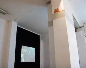 PA-200 à PA-299 /// 10 pts