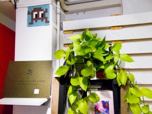 PA-401 à PA-499 /// 10 pts